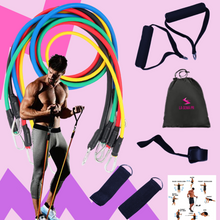 Cargar imagen en el visor de la galería, Bandas Cuerpo Completo