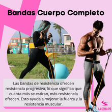 Cargar imagen en el visor de la galería, Bandas Cuerpo Completo